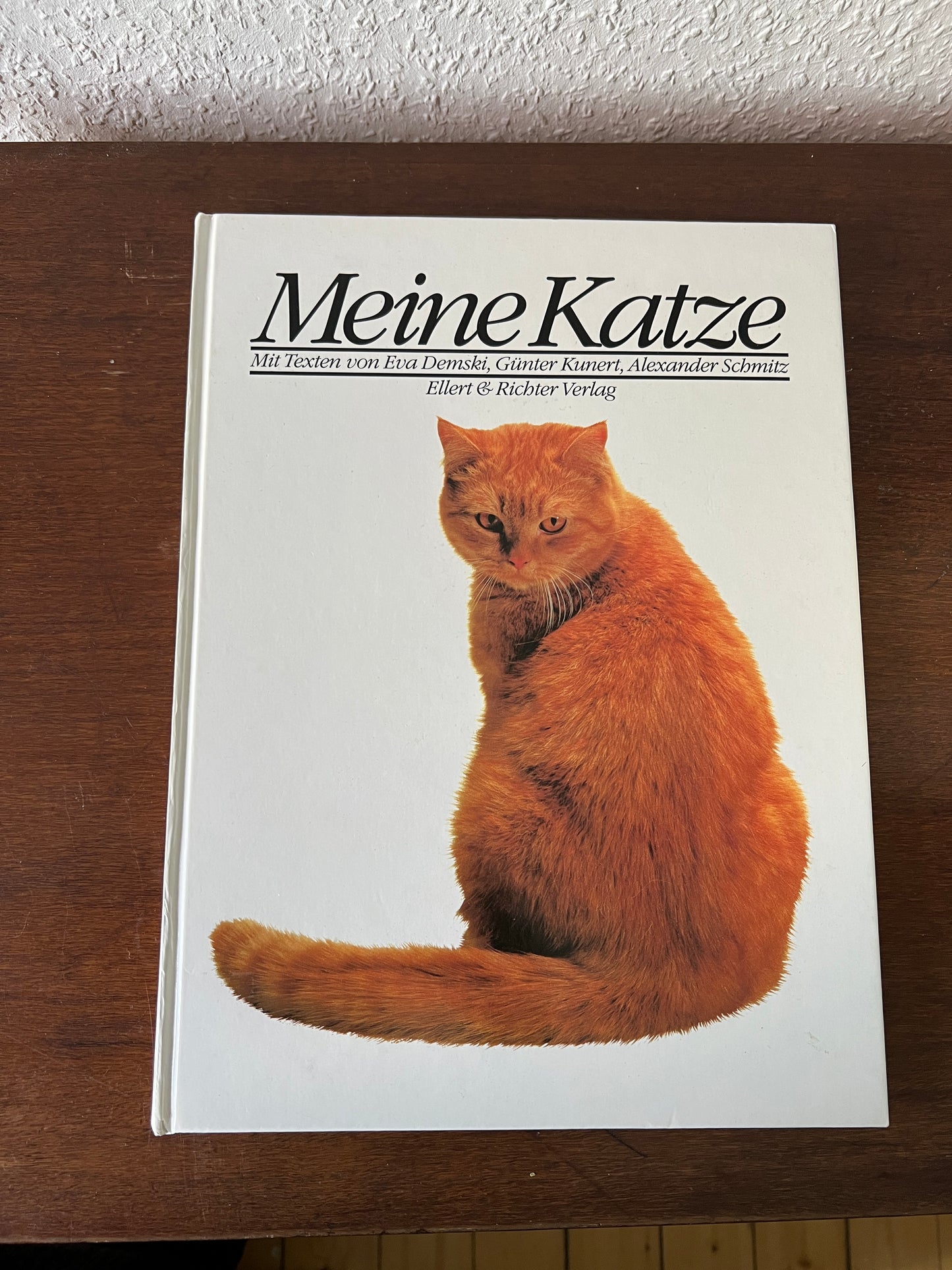 Meine Katze Buch mit Fotografien Eva Demski Ellert & Richter Verlag 1980er