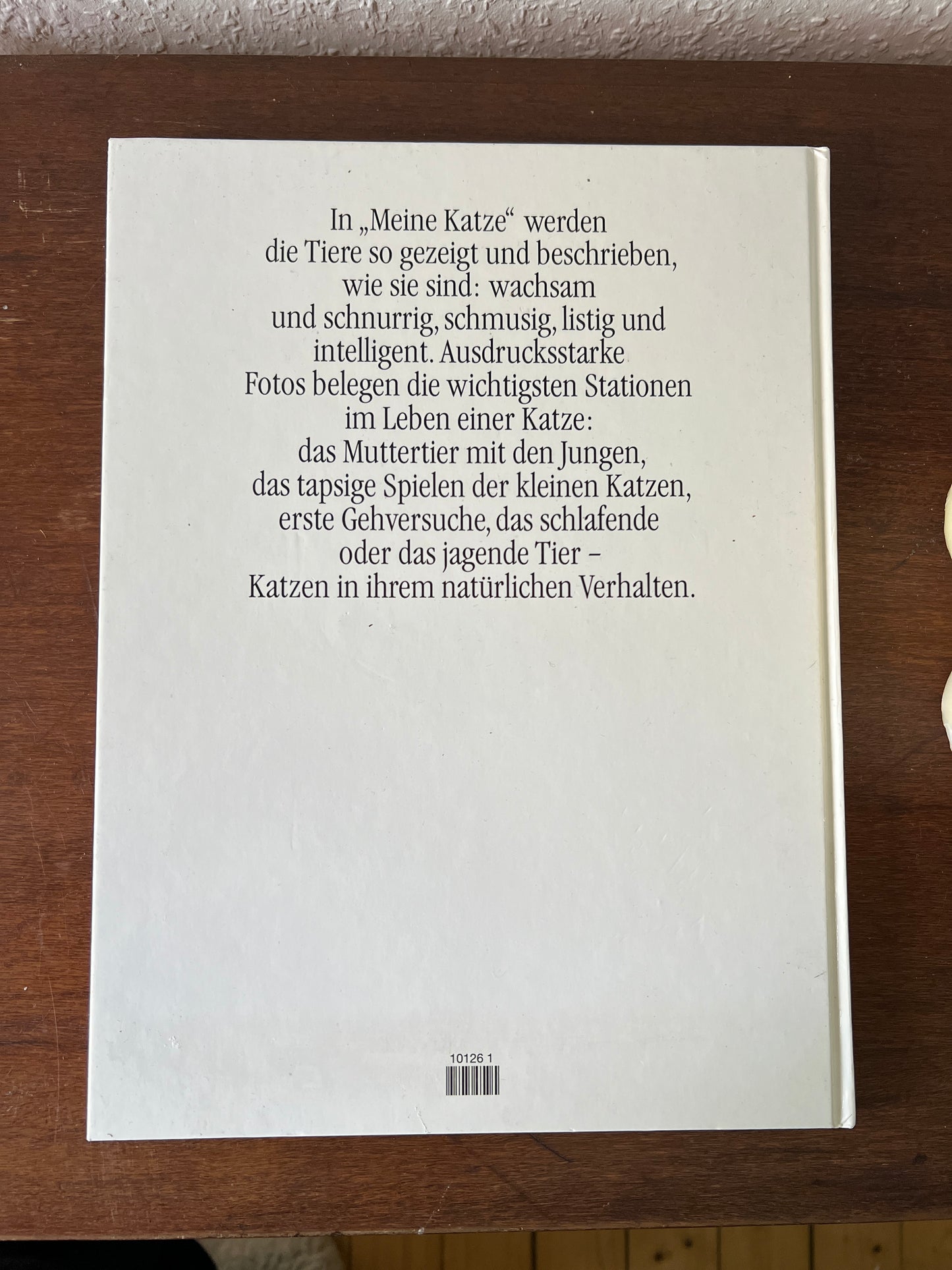 Meine Katze Buch mit Fotografien Eva Demski Ellert & Richter Verlag 1980er