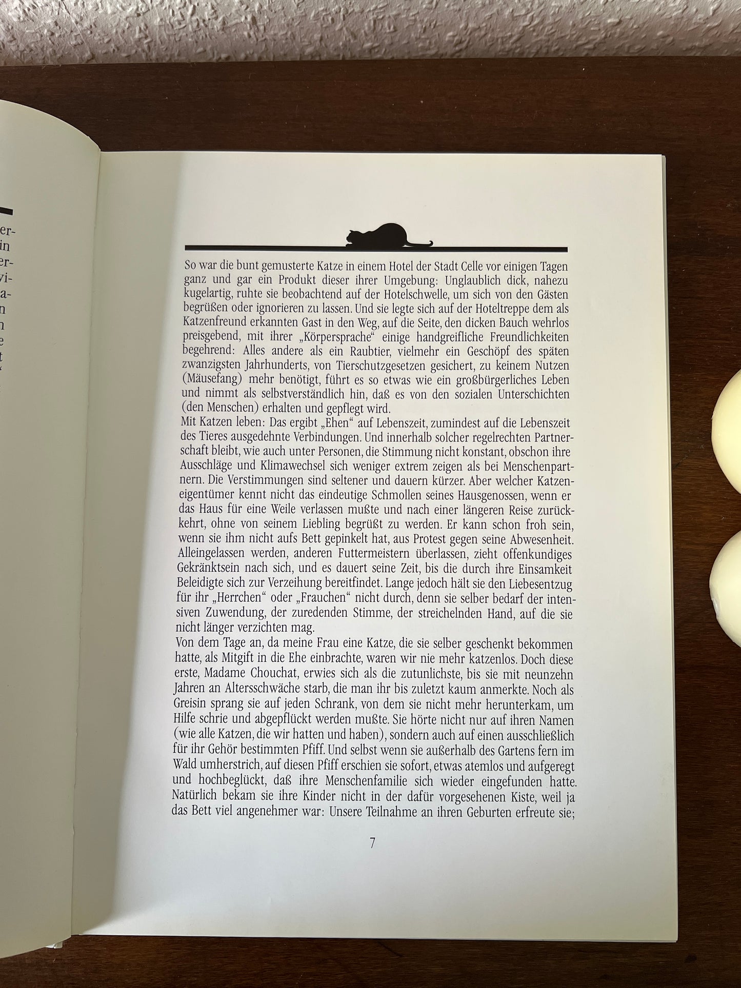 Meine Katze Buch mit Fotografien Eva Demski Ellert & Richter Verlag 1980er