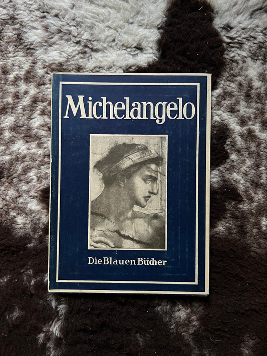 Michelangelo Buch von Max Sauerlandt Seltene Ausgabe 1960