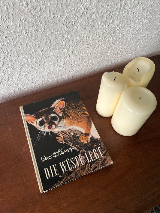 Walt Disney Buch zur Naturdokumentation 'Die Wüste Lebt' (The Living Desert) Deutsch Vintage 50er/60er