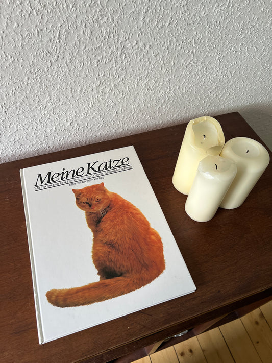 Meine Katze Buch mit Fotografien Eva Demski Ellert & Richter Verlag 1980er